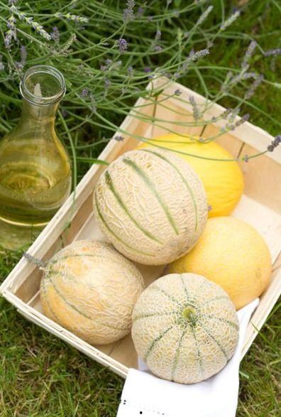 二木吃瓜,揭秘娱乐圈幕后故事