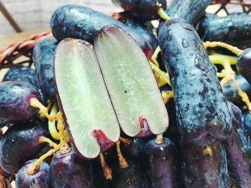 高血糖可以吃鲜瓜吗,高血糖患者适宜食用的鲜瓜种类解析