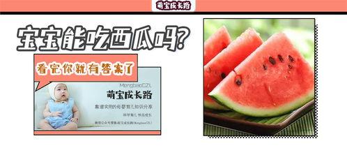 吃瓜盟主多大了,揭秘瓜界传奇，探寻其年龄之谜