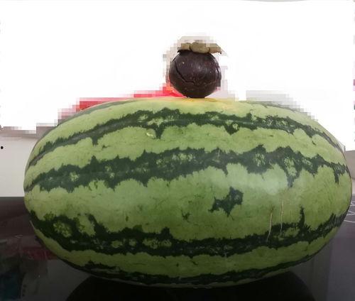 吃瓜盟主多大了,揭秘瓜界传奇，探寻其年龄之谜