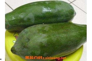 长瓜里面的籽可以吃吗,可食用之谜揭秘