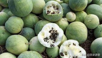 嗑着瓜子吃瓜,品味生活的小确幸