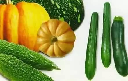 哪些吃的瓜,盘点那些让人欲罢不能的美食瓜果