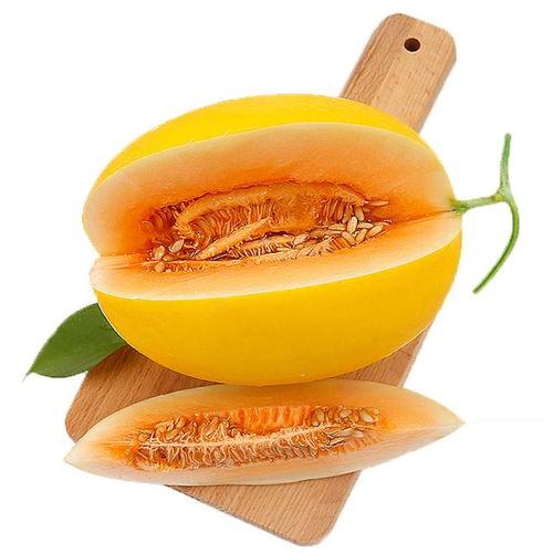 吐鲁番吃蜜瓜视频