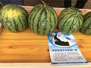 小村庄吃瓜群众