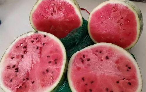 麒麟瓜多久可以吃,多久可以安全享用