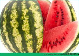 不要天天想着吃瓜,拥抱美好生活