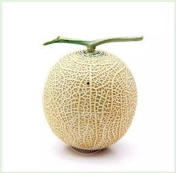 网纹瓜幼瓜怎么吃,网纹瓜幼瓜的多样食法探索