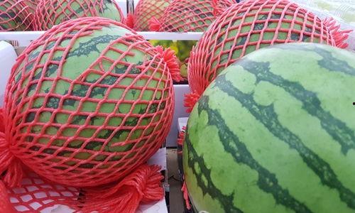 吃瓜摸器,网络新宠背后的秘密与争议