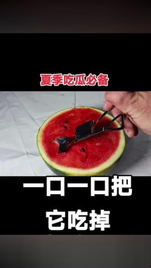 吃瓜摸器,网络新宠背后的秘密与争议