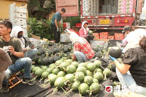 吃瓜前线人,揭秘娱乐圈幕后故事