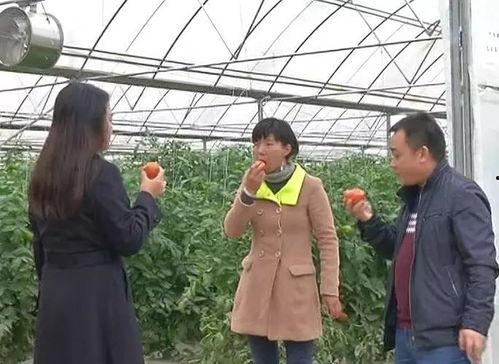 围观吃瓜群众照片,揭秘街头百态