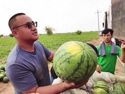 南昌最近吃瓜新闻,揭秘近期热门吃瓜事件