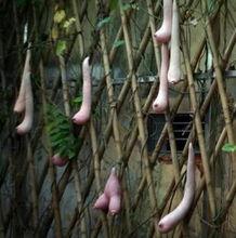 安国最新吃瓜事件,揭秘背后真相与网络舆论风暴