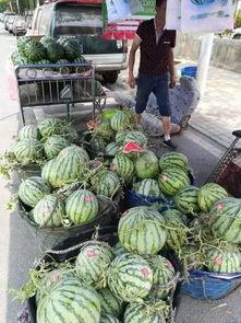 安国最新吃瓜事件,揭秘背后真相与网络舆论风暴