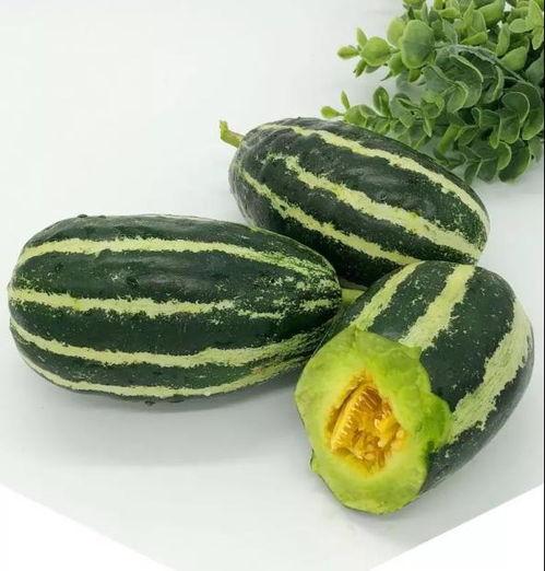 ark吃瓜图片大全,生存进化，吃瓜图鉴大揭秘！