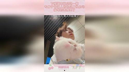 吃瓜人专属表情包动态