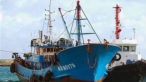 吃瓜渔船直播视频,吃瓜渔船的欢乐日常