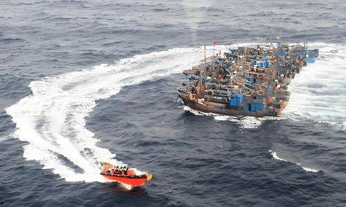 吃瓜渔船直播视频,吃瓜渔船的欢乐日常