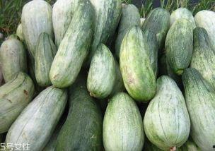 吃酥瓜伤胃吗酥瓜的吃法,伤胃风险与正确吃法揭秘