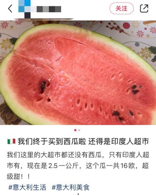 老外吃绿瓜,老外品尝独特绿瓜的奇妙体验