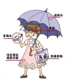 发火吃瓜,揭秘网络发火吃瓜背后的狂欢世界