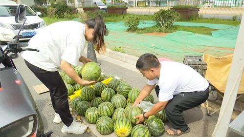 今年吃的瓜图片,回顾那些让人津津乐道的美食瞬间