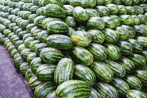 今年吃的瓜图片,回顾那些让人津津乐道的美食瞬间