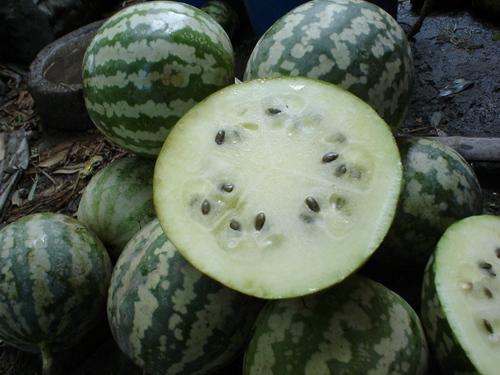 绿宝瓜可以吃皮,探索美味与健康的双重享受