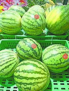 武汉胡经吃瓜,吃瓜群众的趣味生活剪影