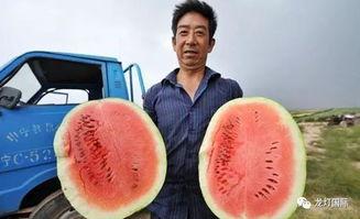 吃瓜中国网友,吃瓜群众视角下的中国热点事件盘点