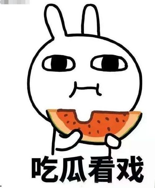 酒局得吃瓜,揭秘酒桌上的趣味瞬间