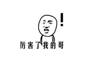 老板不让吃瓜,拒绝吃瓜，专注前行