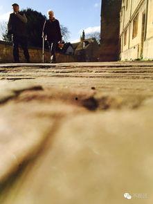 吃瓜群众前线代表,吃瓜群众前线代表揭秘娱乐圈幕后真相