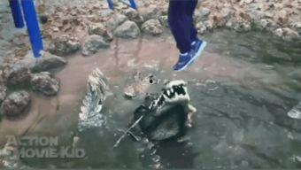鳄鱼吃瓜搞笑