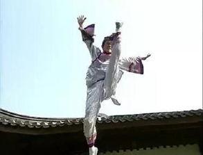 燕子的吃瓜群众,燕子视角下的吃瓜群众众生相