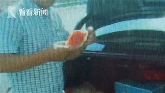 交警吃瓜搞笑视频大全,笑料百出，欢乐无限